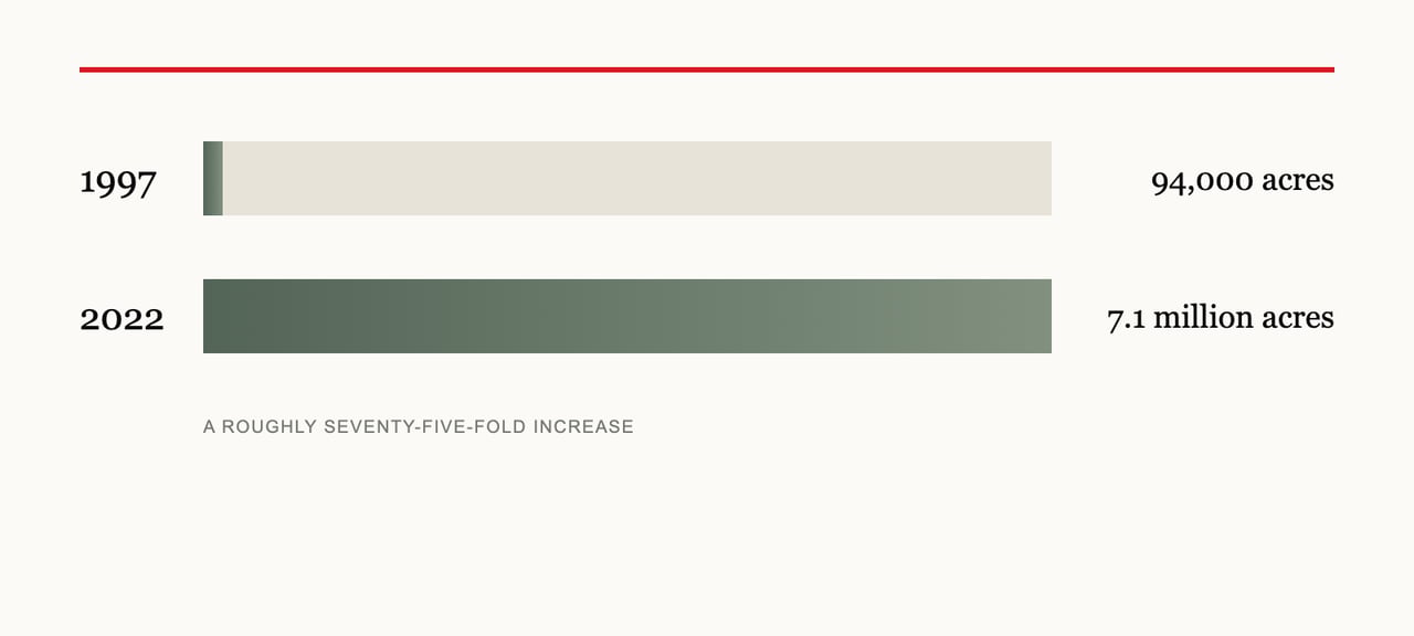 The Quiet Consolidation