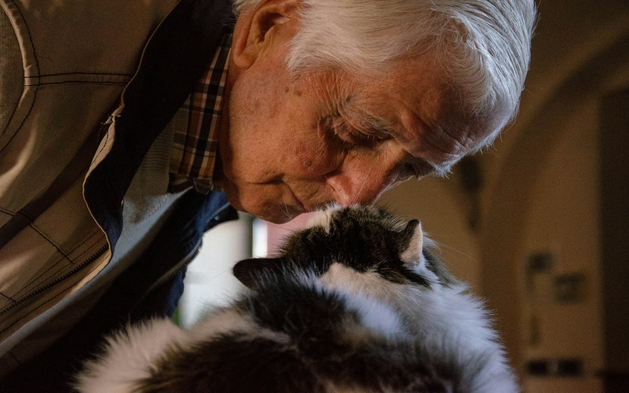 18 Good Dogs for Seniors Who Want or Need a Furry Companion