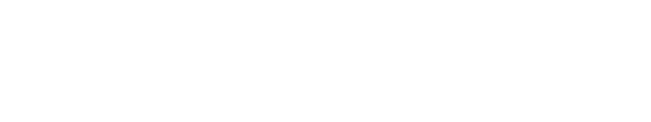 Light Logo