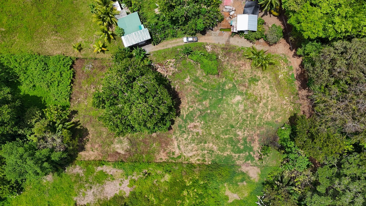 Premier titled land steps away from the beach