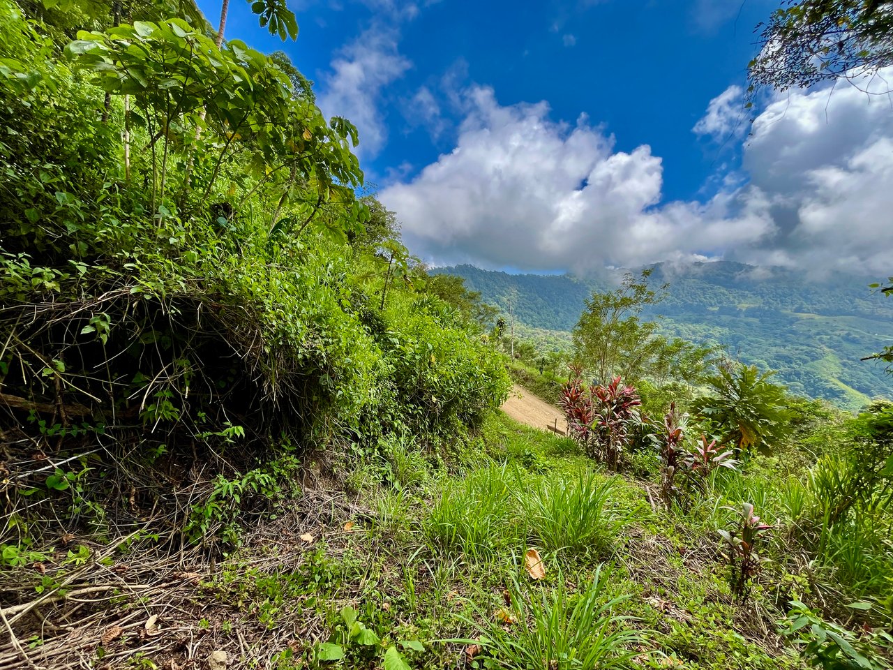 San Luis Ridgetop Ocean & Mountain View Property with Multiple Building Sites!