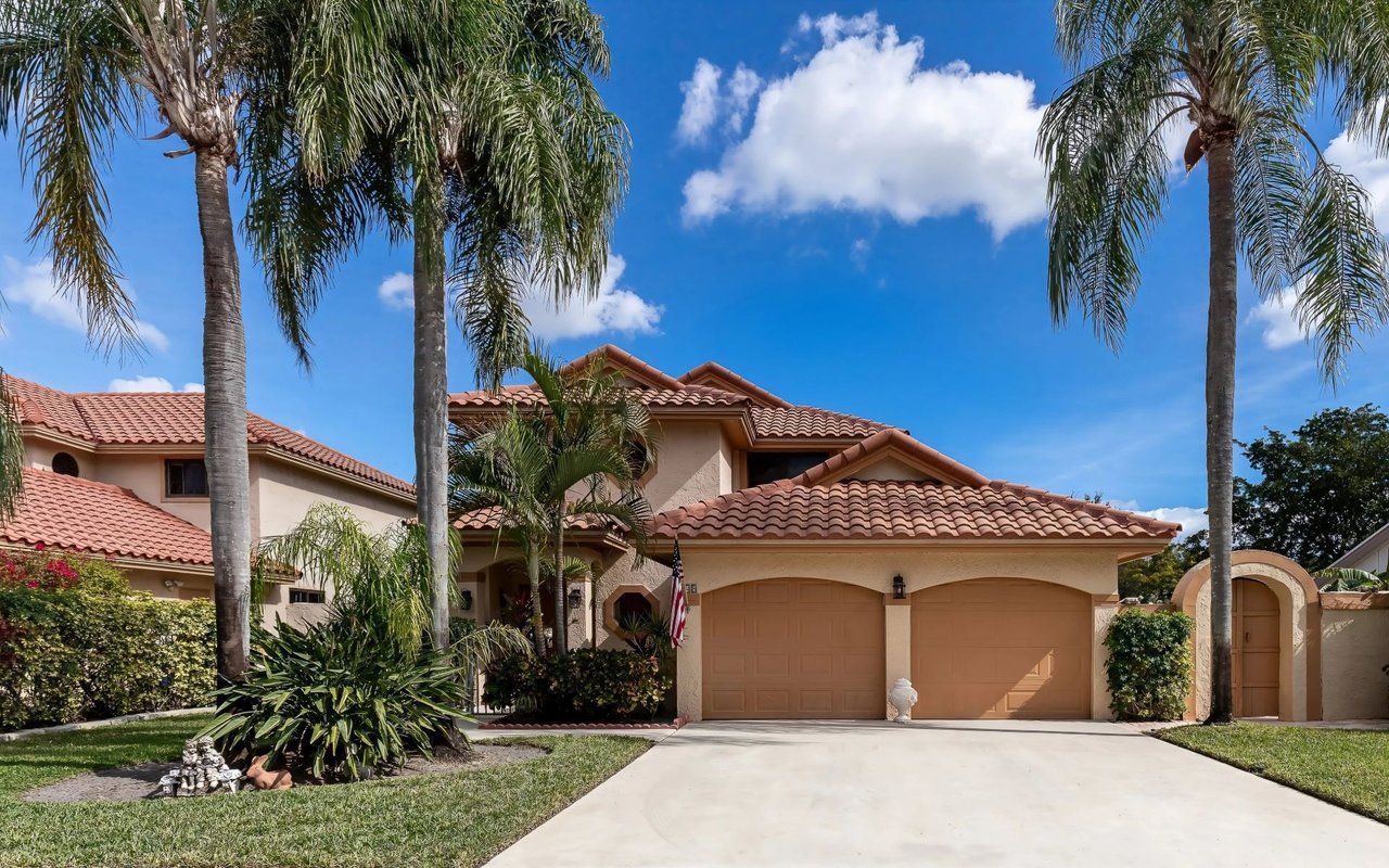 Plantation Palms