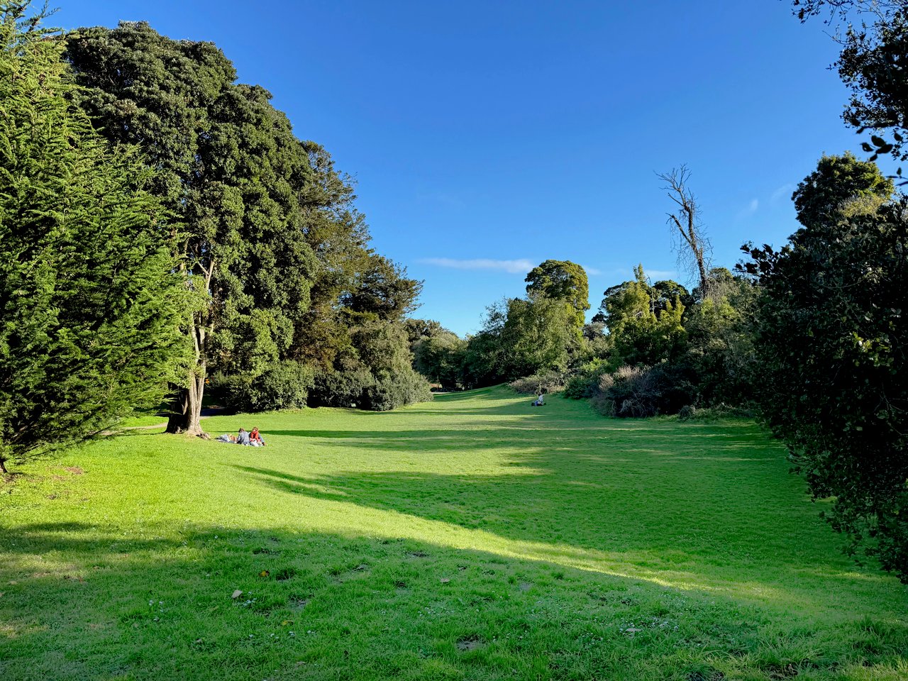 District 1 – Richmond