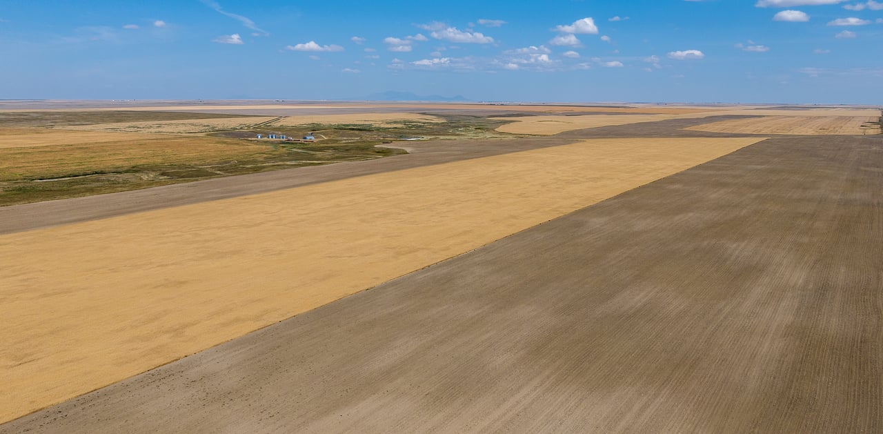 Hill County Organic & CRP Farm