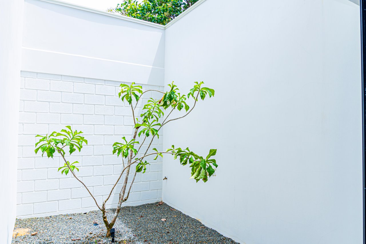 Modern Elegance Meets Tropical Lifestyle in Uvita