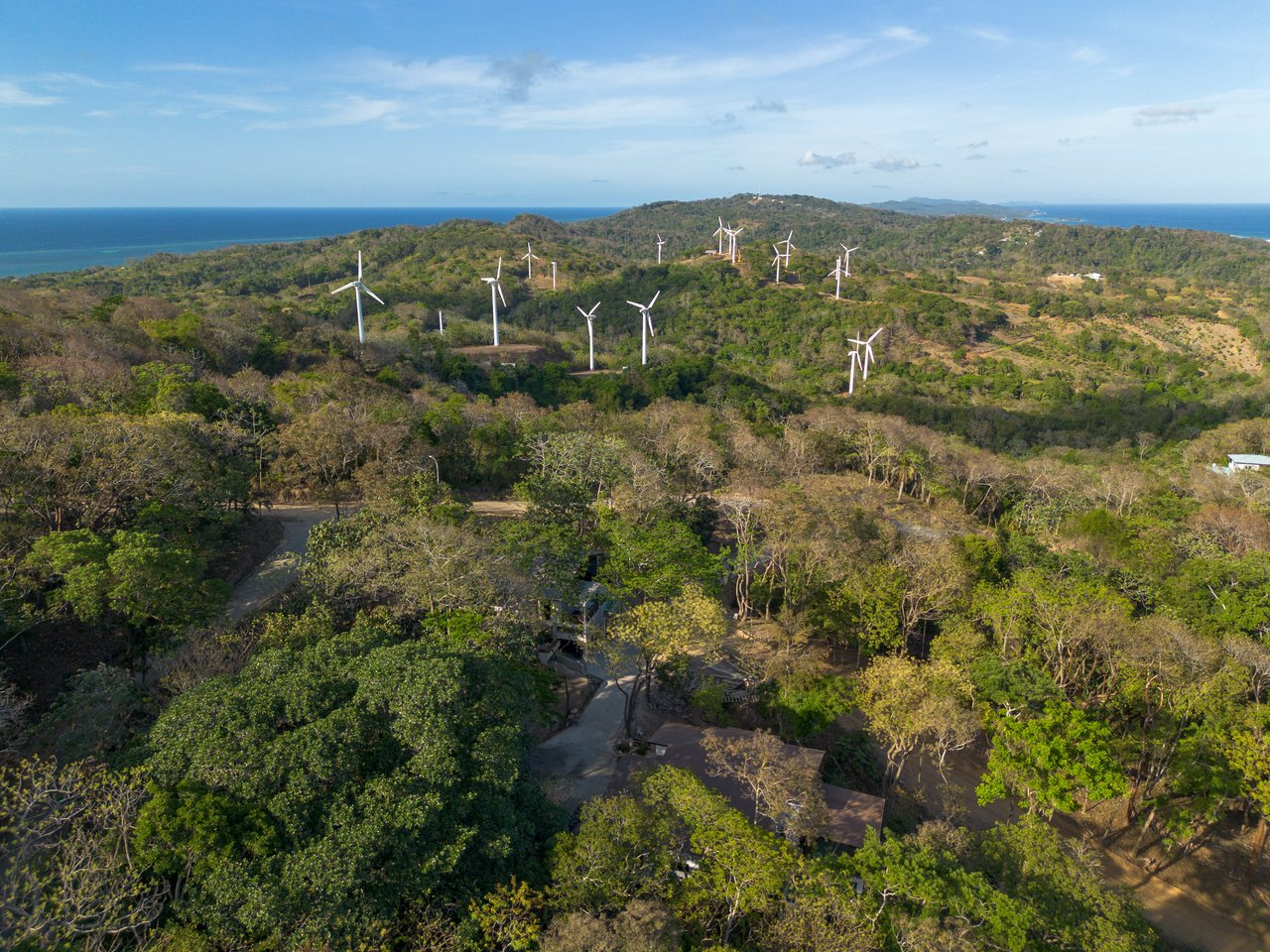 Forest Hill Home, Brass Hill