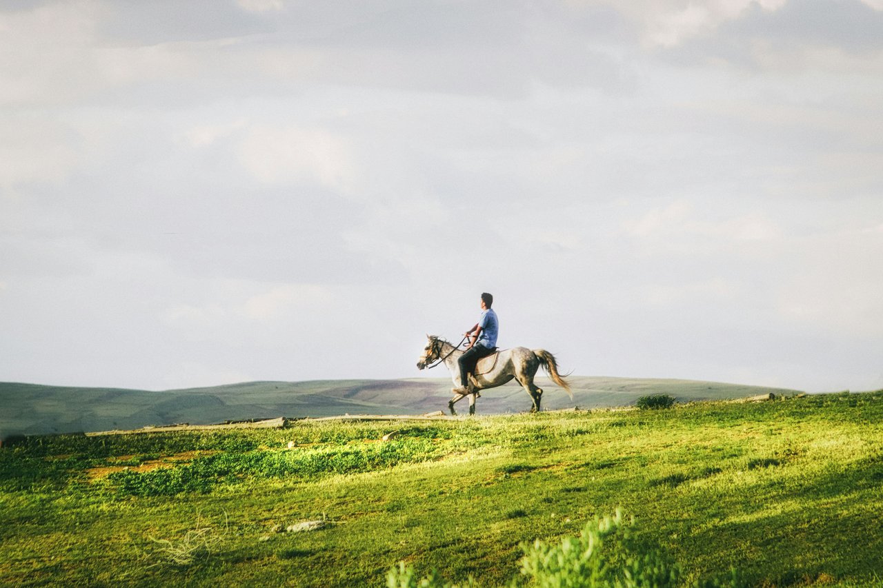 Alto Manor / Horse Hill