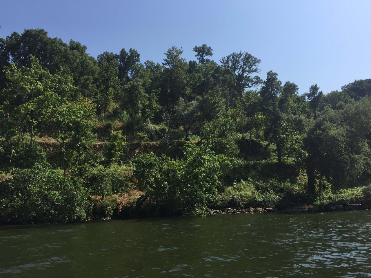 Rare Approved Douro Riverfront Project – A Unique Investment Opportunity!