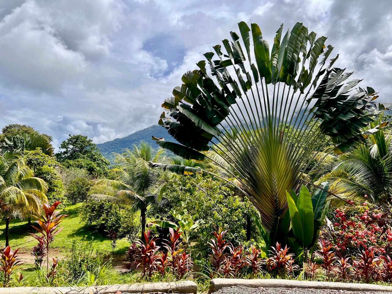 Peaceful 2-Bedroom Home in a Lush Garden in Ojochal