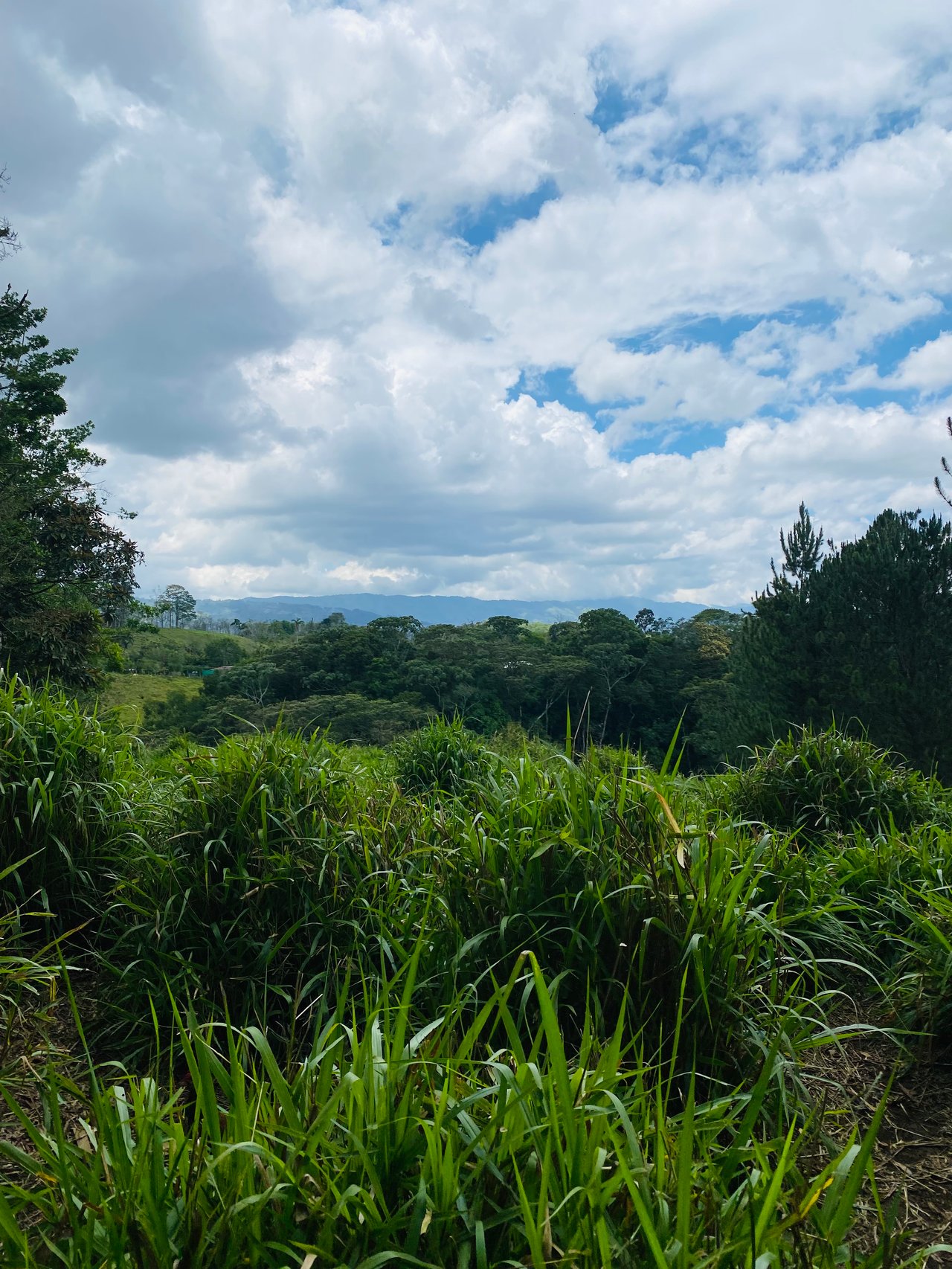 54 Acre Ranch in San Vito, Coto Brus