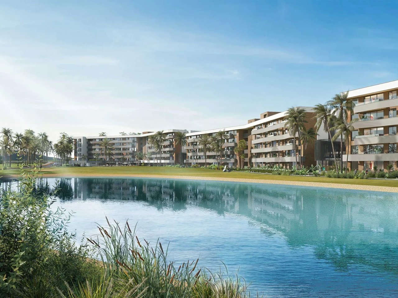 Palm View