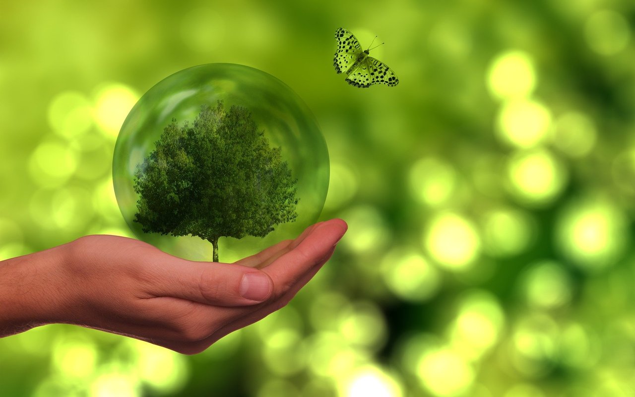Build the Eco-Friendly House of Your Dreams