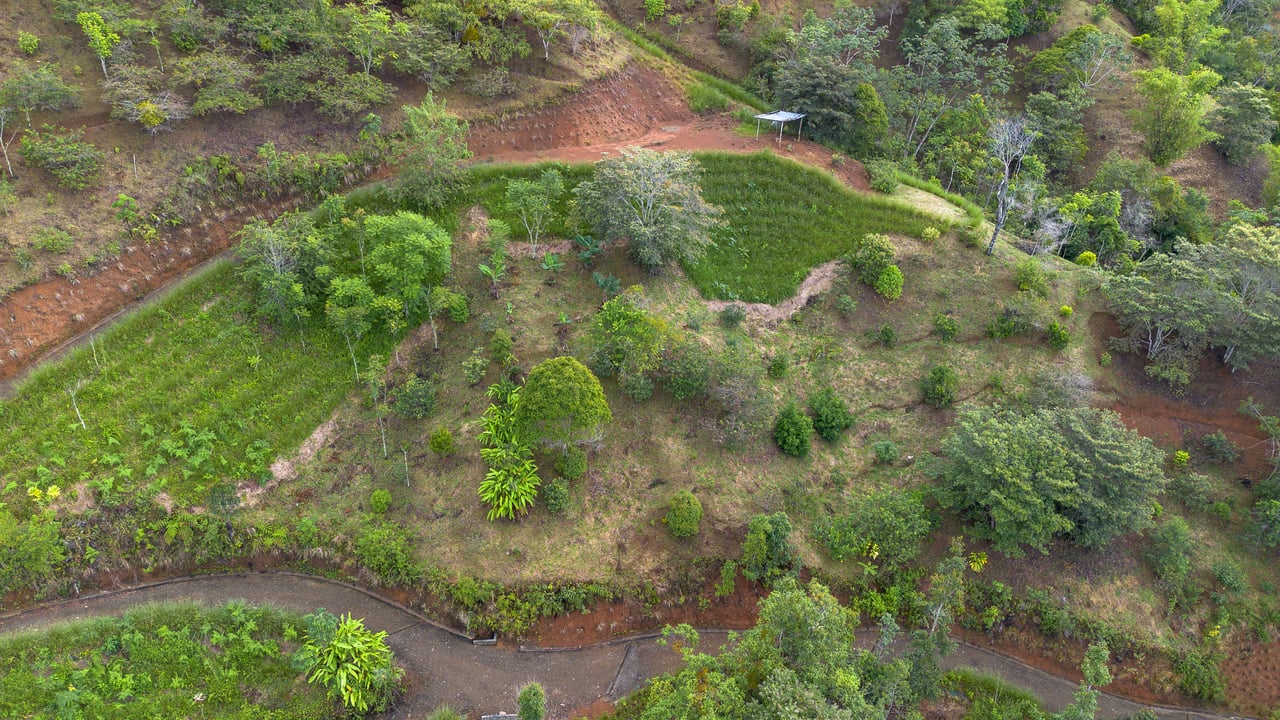 10.21 Acres with Views & Plantels – Pérez Zeledón