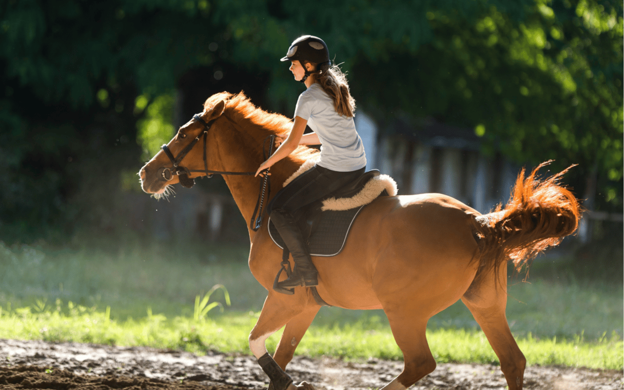 Horseback Riding in Jackson Hole: Where to Go for the Best Experience