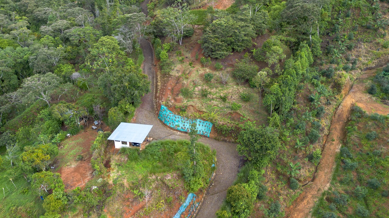 10.21 Acres with Views & Plantels – Pérez Zeledón