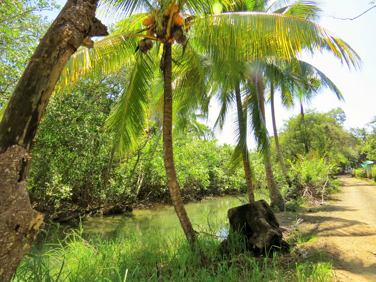 Fully equipped 4 Unit Apartment/Hotel complex 70 meters from the entrance to world-famous Marino Ballena National Park