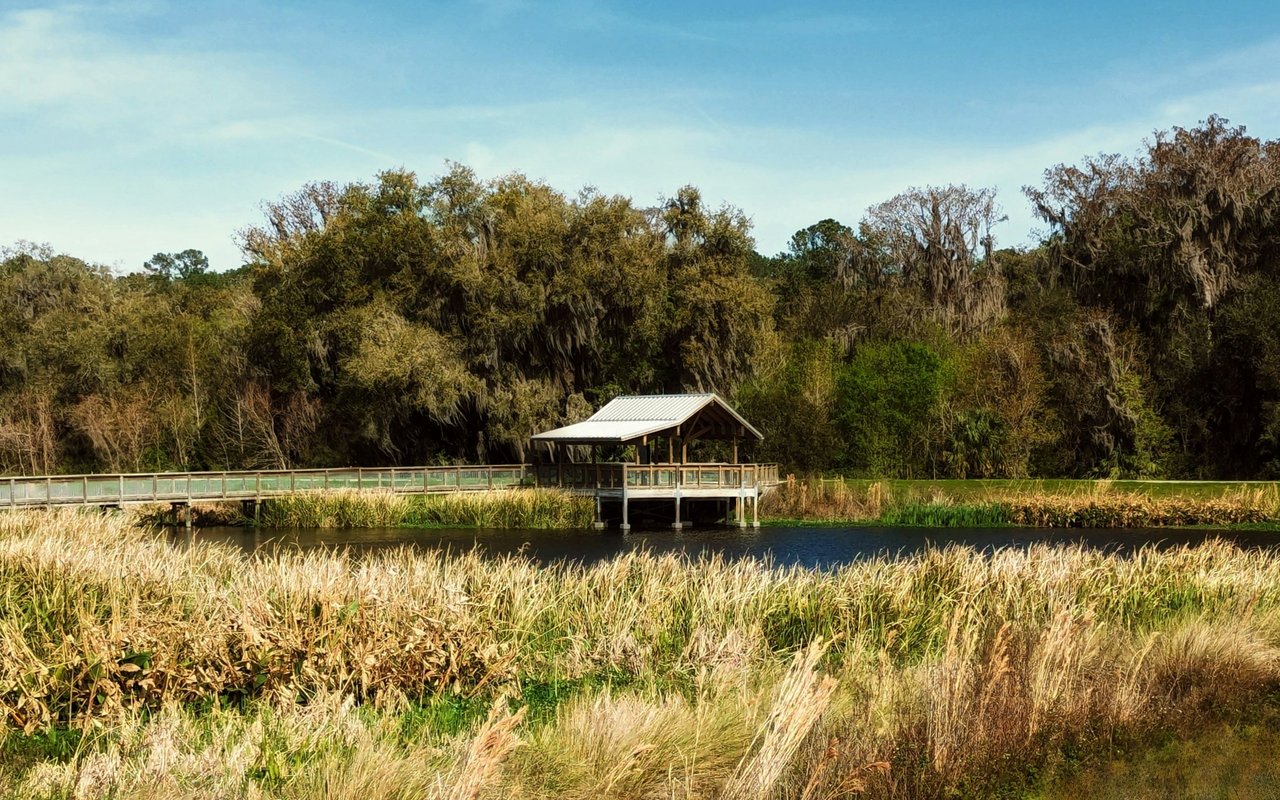 Boardwalk and covered pavilion beside a pond, surrounded by tall grasses and trees.