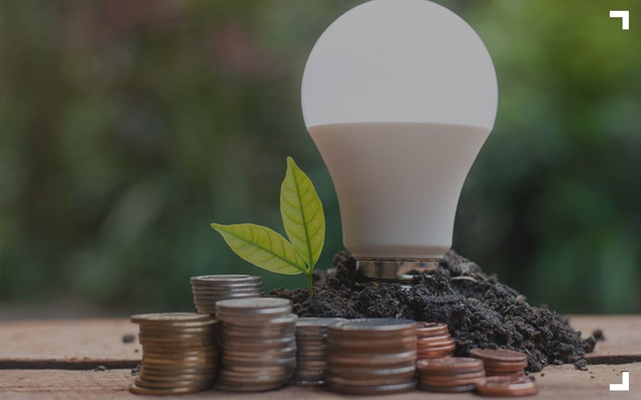 Energy-efficient light bulb and seedling beside stacks of coins on soil.