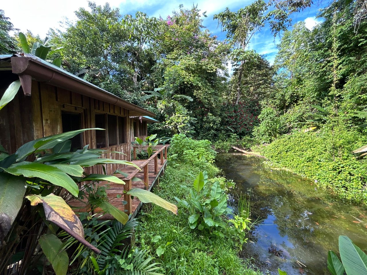 60 Acre Fully Sustainable and Impactful Conservation Initiative Near Golfito