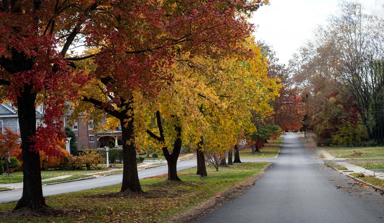 Residential street beneath red and golden autumn trees, with homes along the sidewalk.