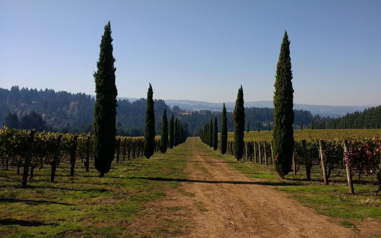 Sherwood
