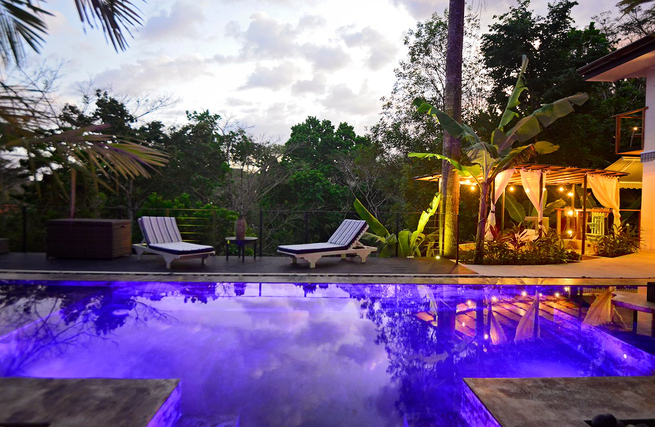 The Jungle Residence
