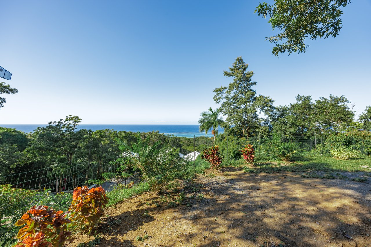 Lawson Rock at Its Finest Lot 30