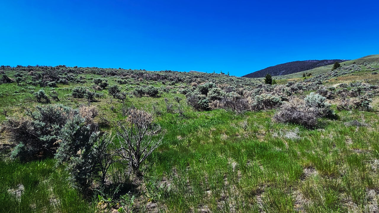 NKN Chipps Creek Road