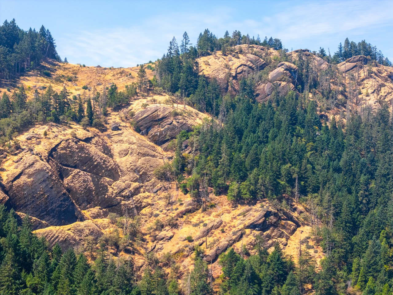 STRICKLAND BOULDER FOREST