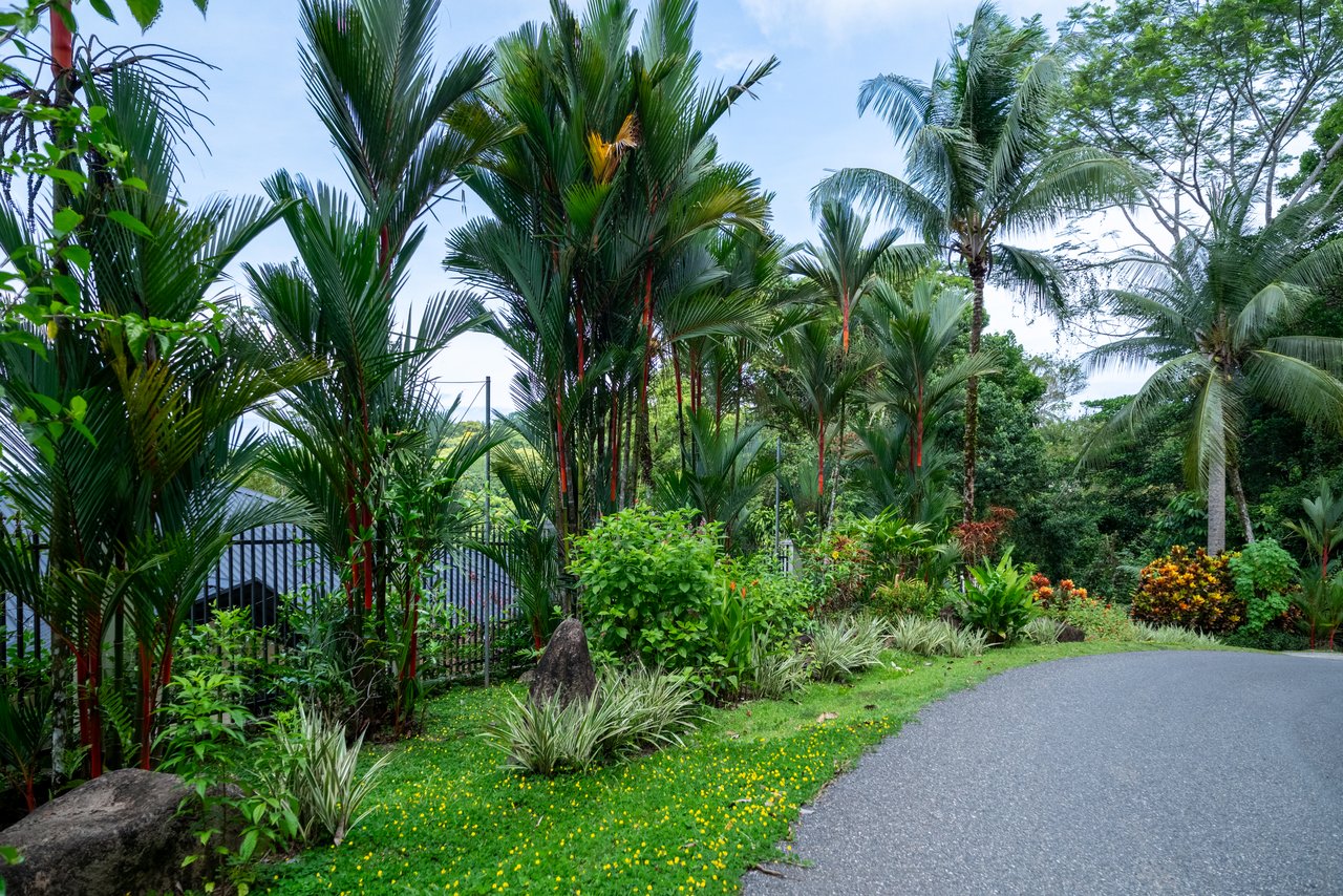 6.45 ACRES – 3 Bedroom Luxury Ocean View Home Surrounded By Vibrant Rainforest And Wildlife!!!