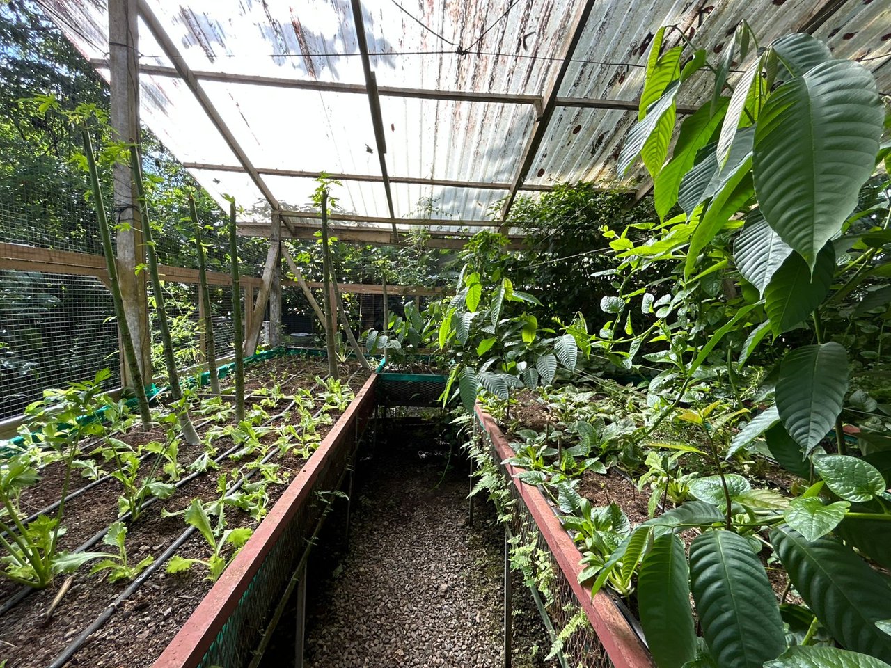 60 Acre Fully Sustainable and Impactful Conservation Initiative Near Golfito