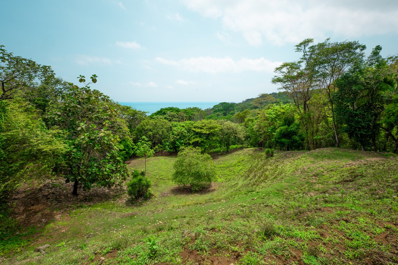 Prime Jungle Retreat with Sunset Views – Build Your Dream