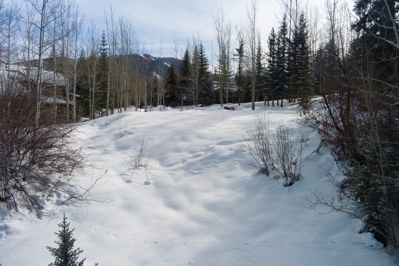 TBD Pfister Drive
