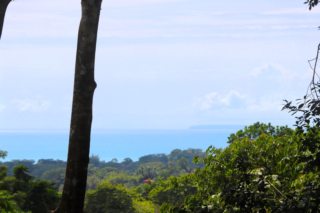 FIRE SALE! Jungle, Rivers, a Waterfall and Panoramic Ocean View