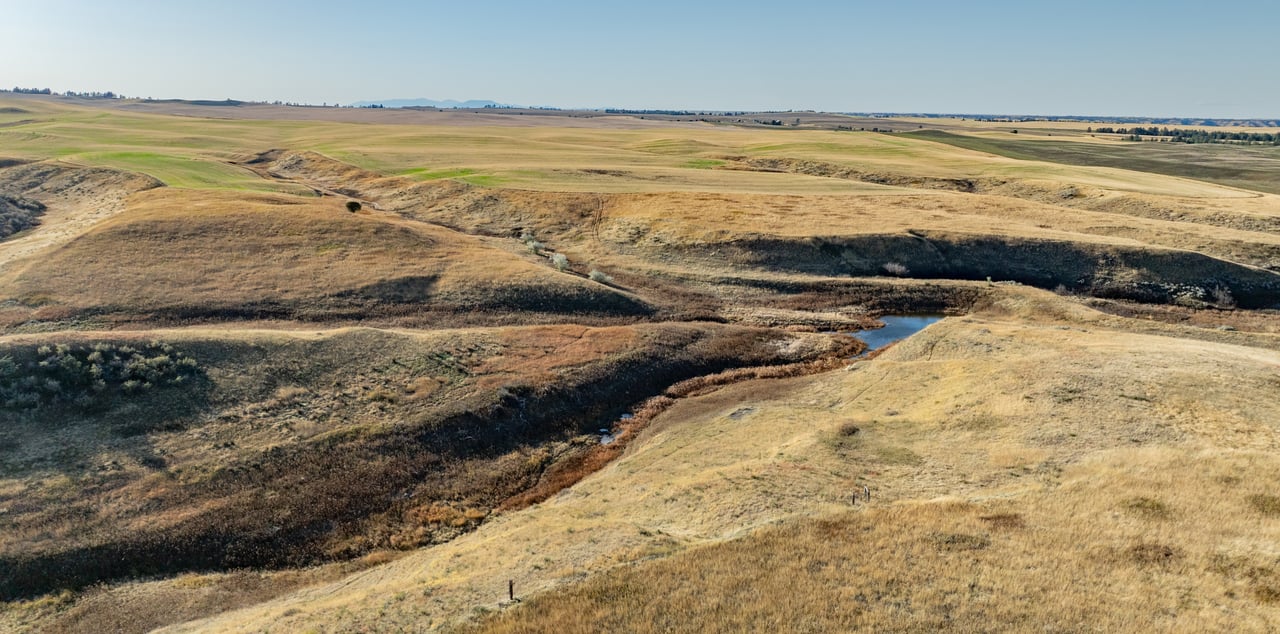 Salt Creek Ranch