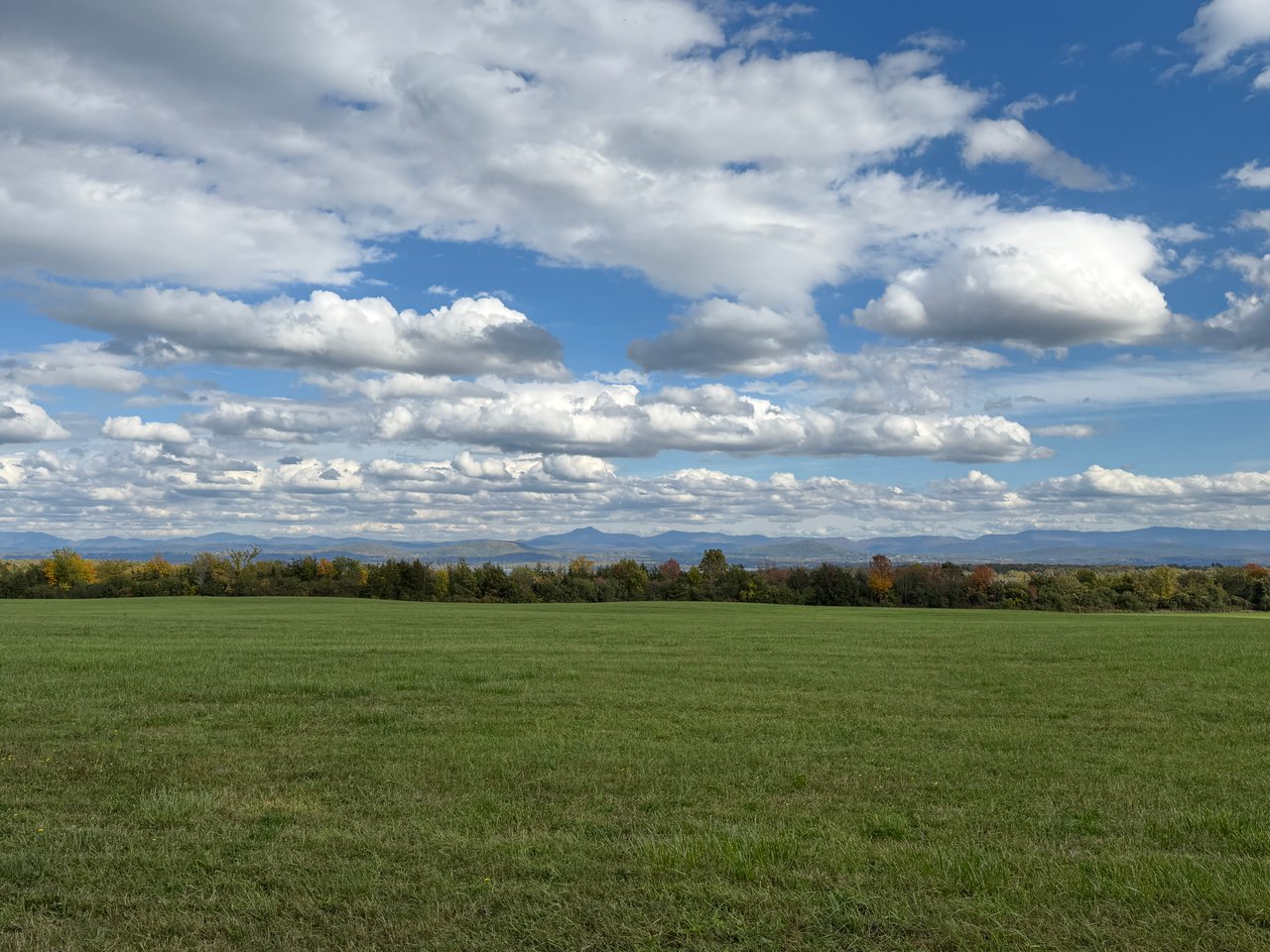 Where the Farm Begins: 135 Acres in Essex County