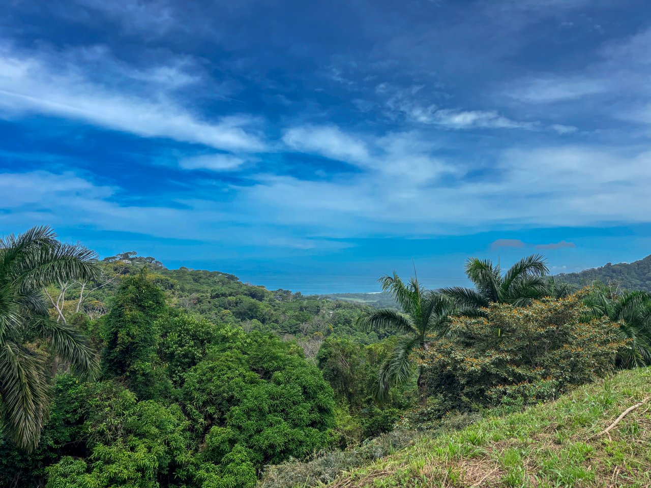 3.6 Acre Ocean View, Near the Beach & Cool Mountain Elevation