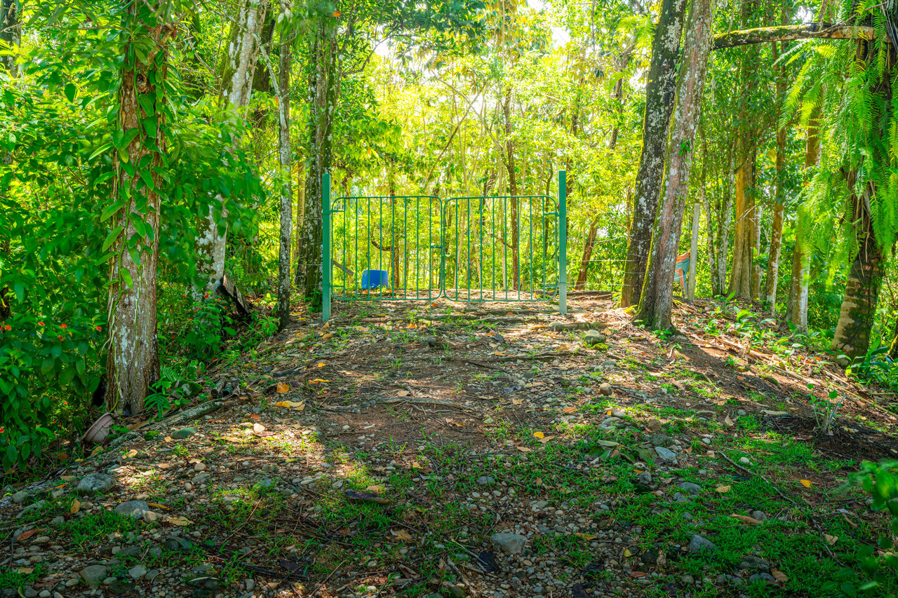 Casa Única - Ocean View Oasis with Commercial Potential in the Heart of Uvita