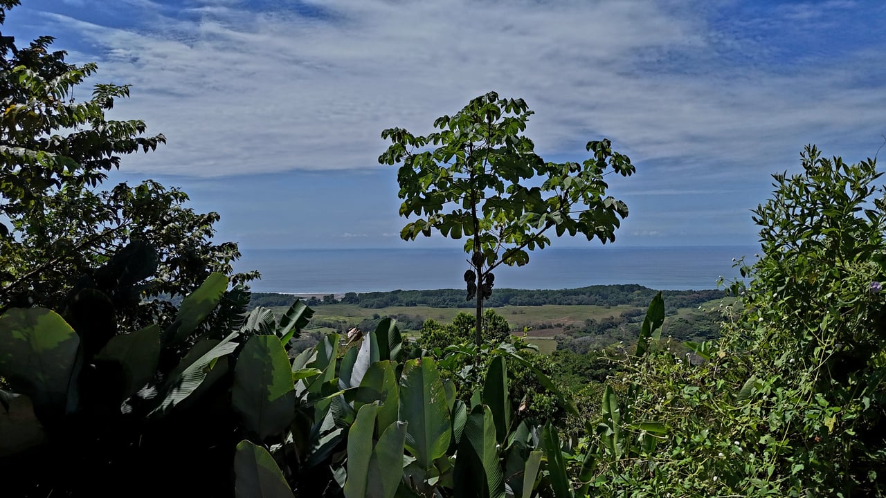 Ocean View Property with Plantel and Trails in Hatillo – Ready to Build