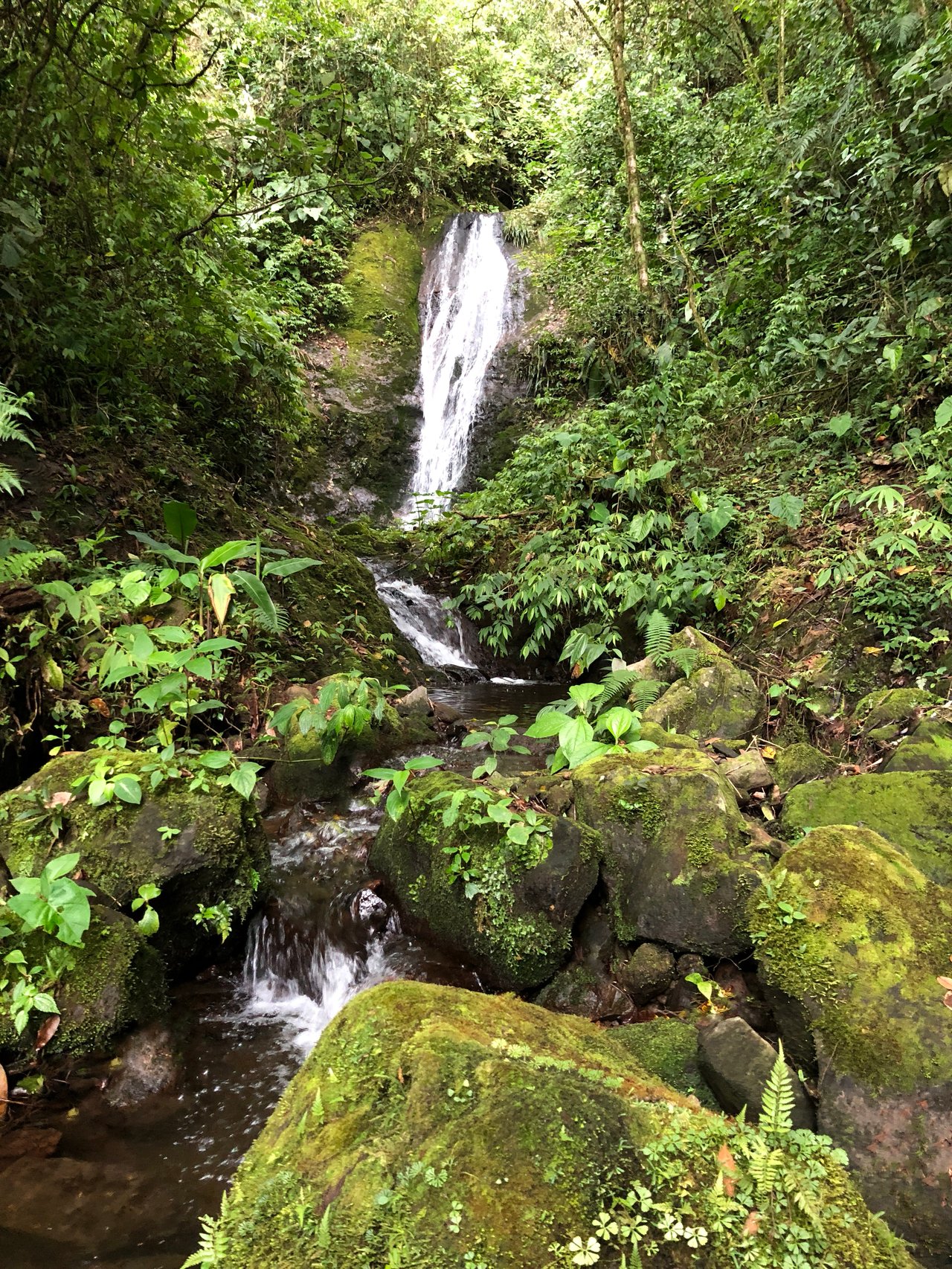 Magnificent Estate with Crystal Clear Streams & Waterfalls - Tierra Serena