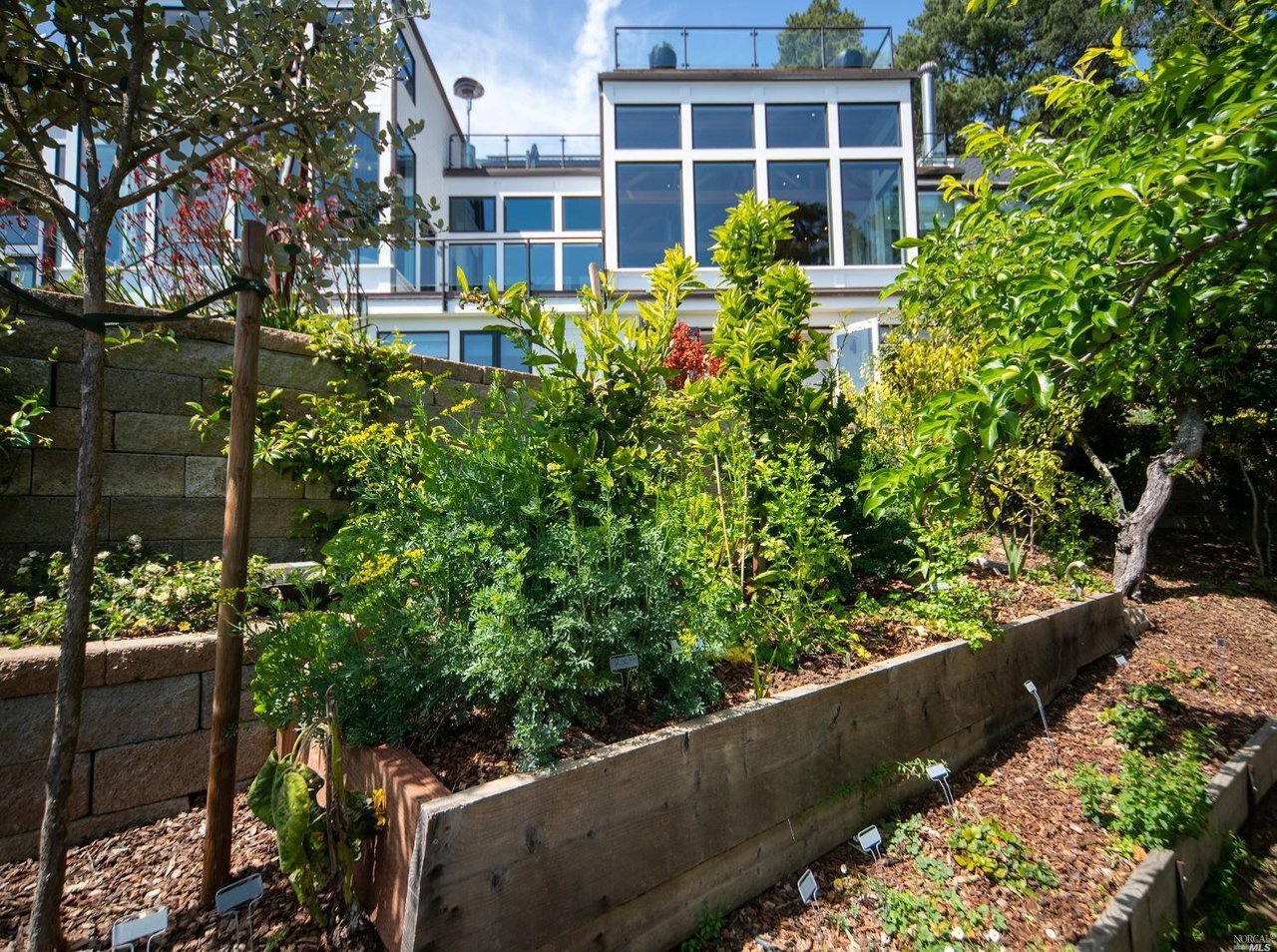 106 Mount Tiburon Rd