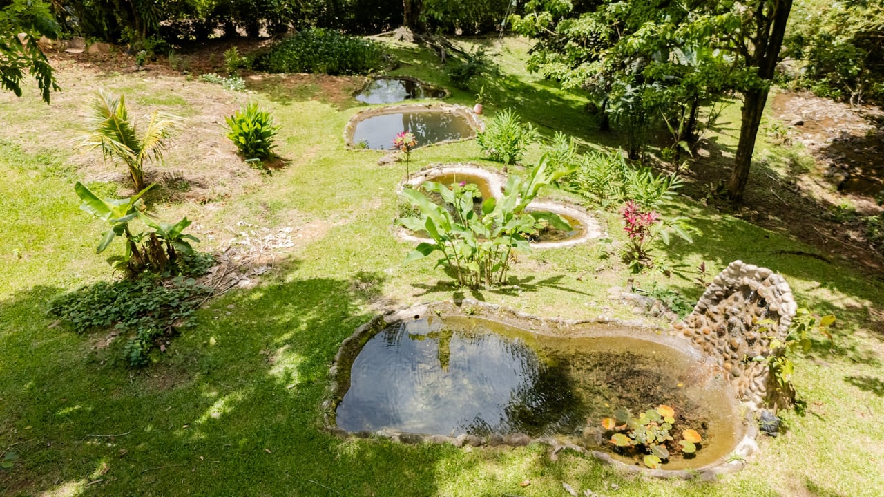 Self-Sustaining Mountain Estate for Sale in Costa Rica – 7.63 Acres with Waterfall, River & Multiple Homesites
