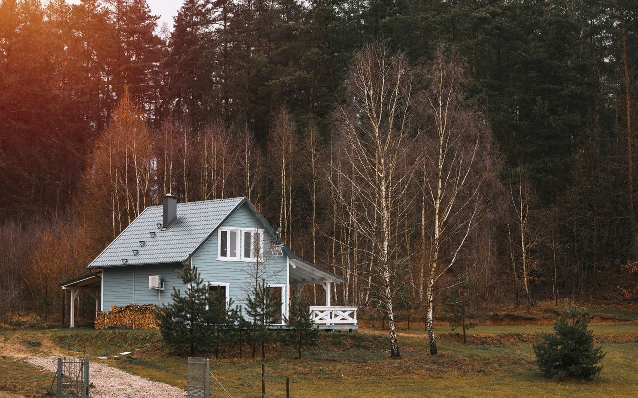 Wolf Creek