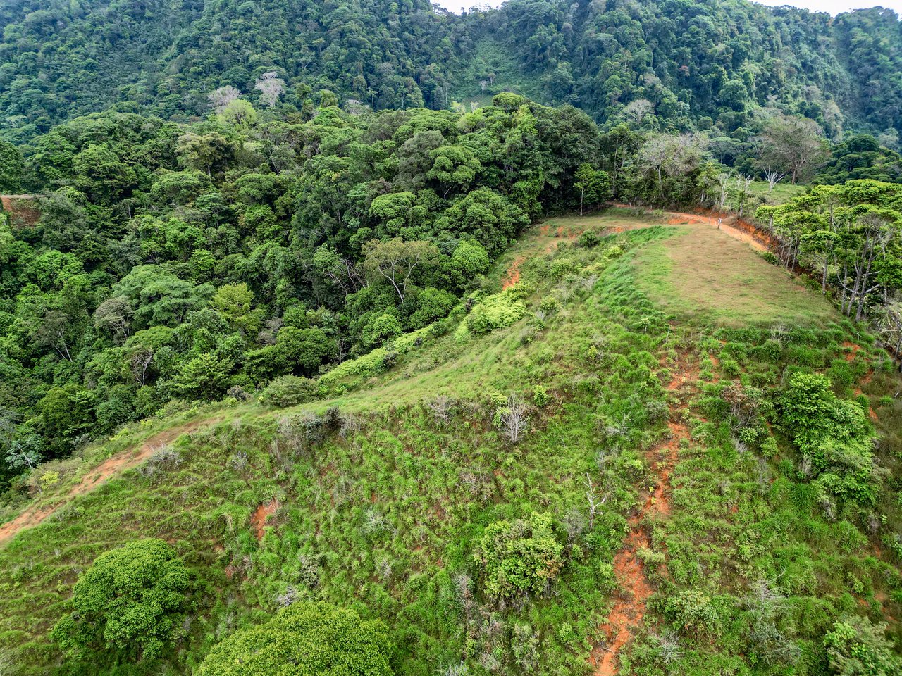 59.35 ACRES- Ocean And Mountain View Land, 6 Building Areas, Legal Water, Public Road, 20min From Beaches!!!