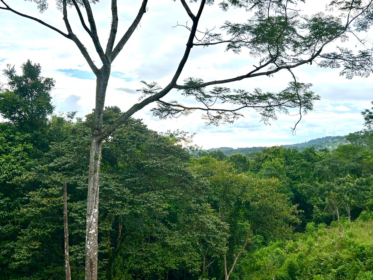 Beautiful Lot in Phase 9 Ojochal, Gated Communuity - NOW WITH LEGAL WATER