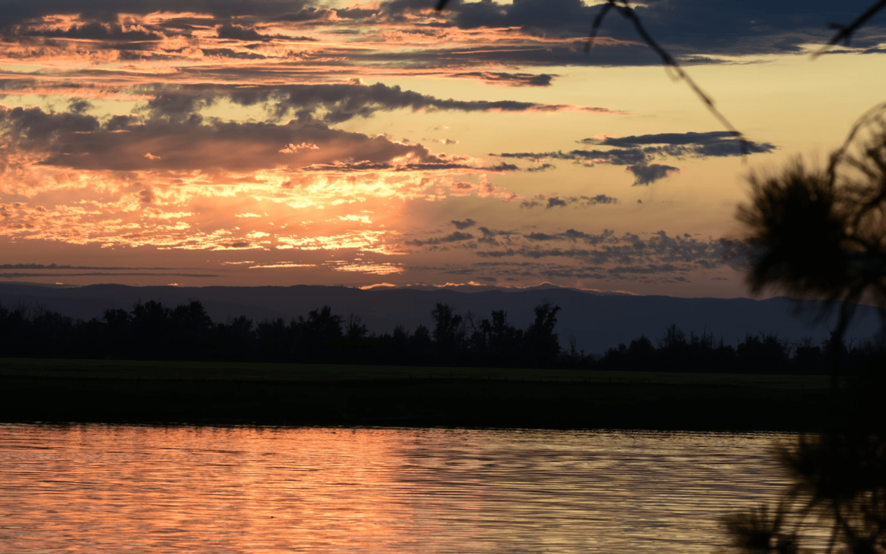 Moving to Bigfork, MT