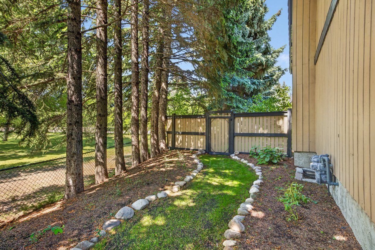 Side yard with a stone-edged lawn, mature evergreen trees, and a wooden fence.