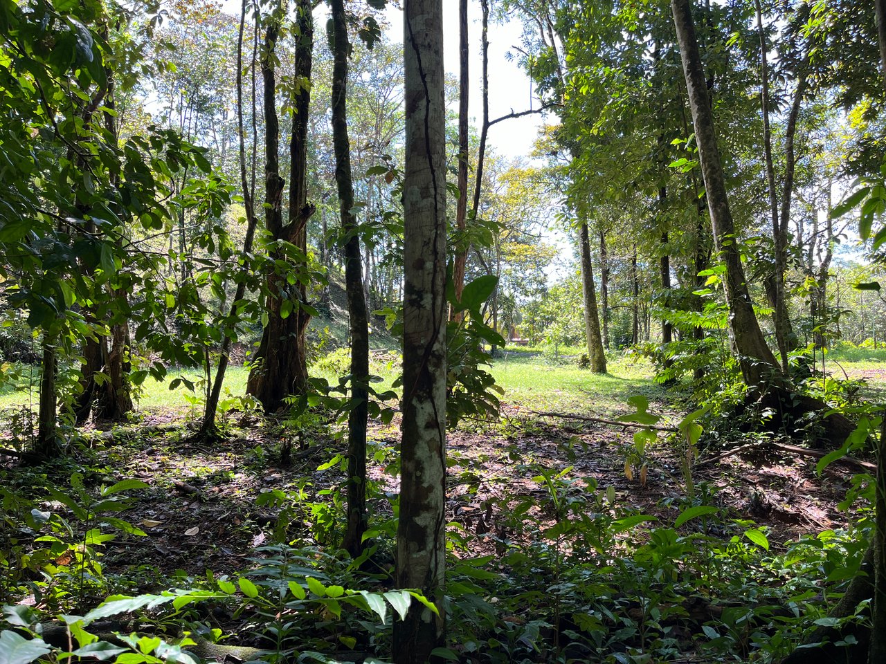 Tortuga Abajo Lot, Just before Ojochal.