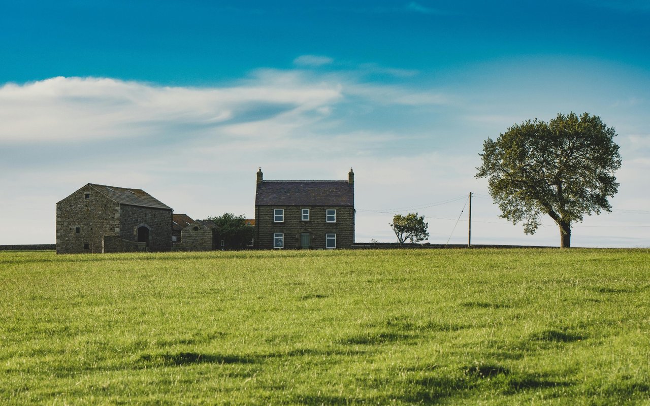 Meadow View