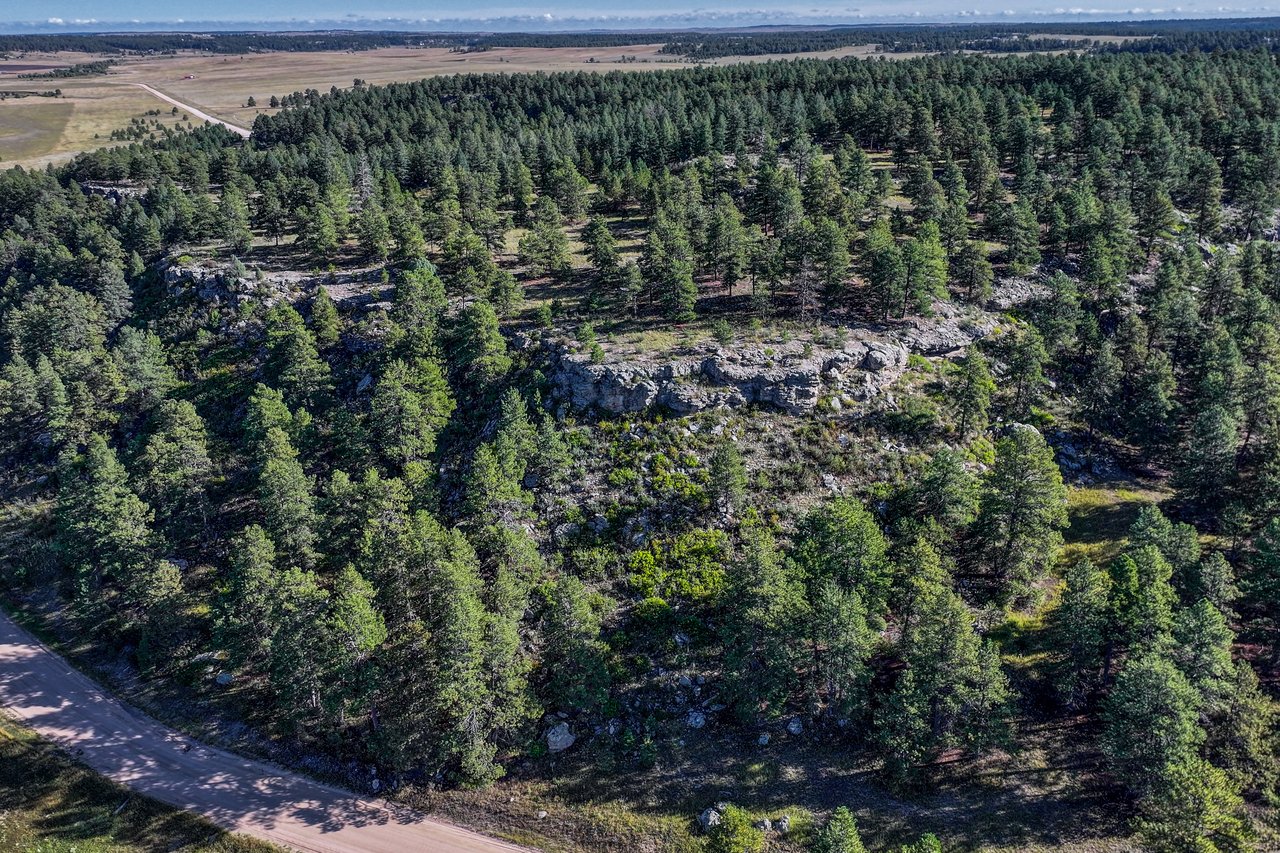 19100 County Road 17